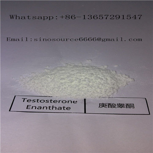 Anabolic Steroid Testosterone Enanthate Raw Powder For Muscle Building CAS 315-37-7